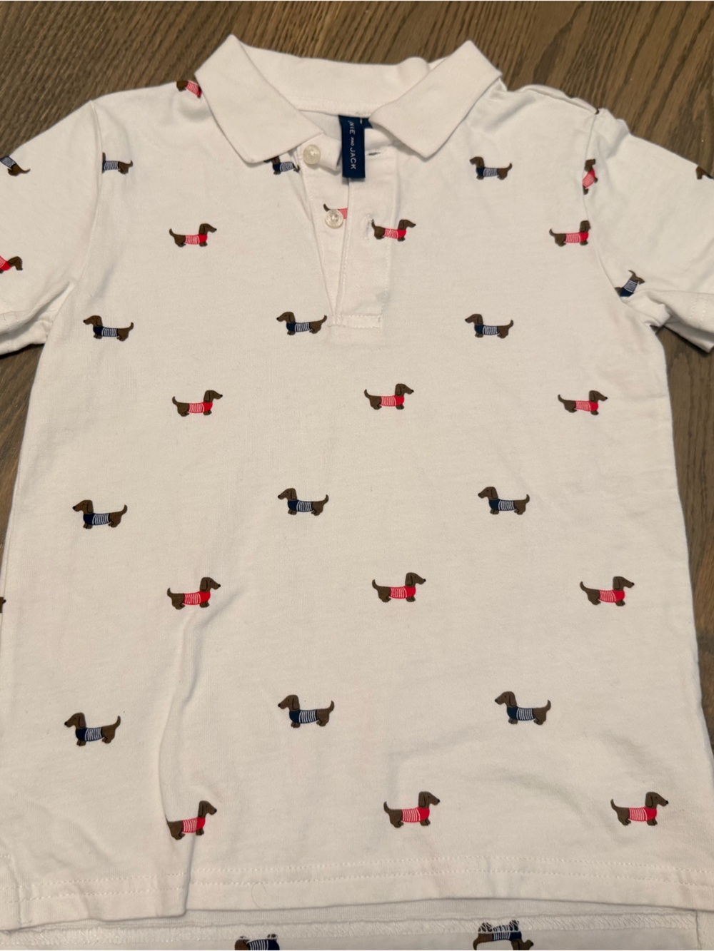 Janie and Jack Boys' Polo Shirt with Dachshund Embroidery - White